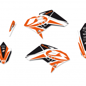 BLACKBIRD RACING Kit Adesivi Dream 4 BETA RR 4T 10-12 – 2B01N